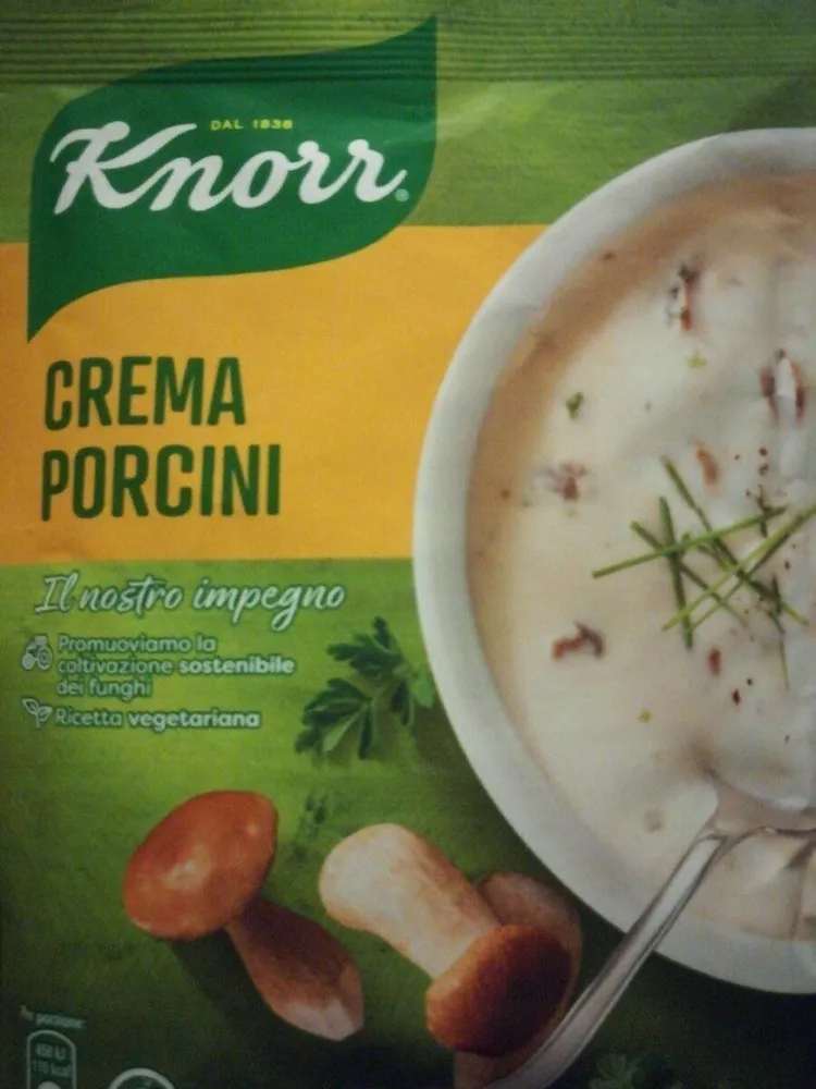 Crema porcini