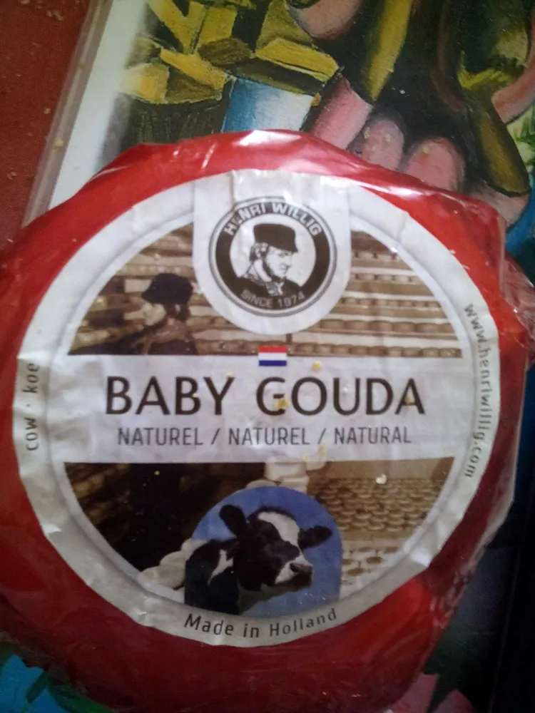 Baby Gouda