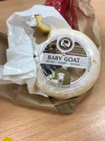 Baby goat