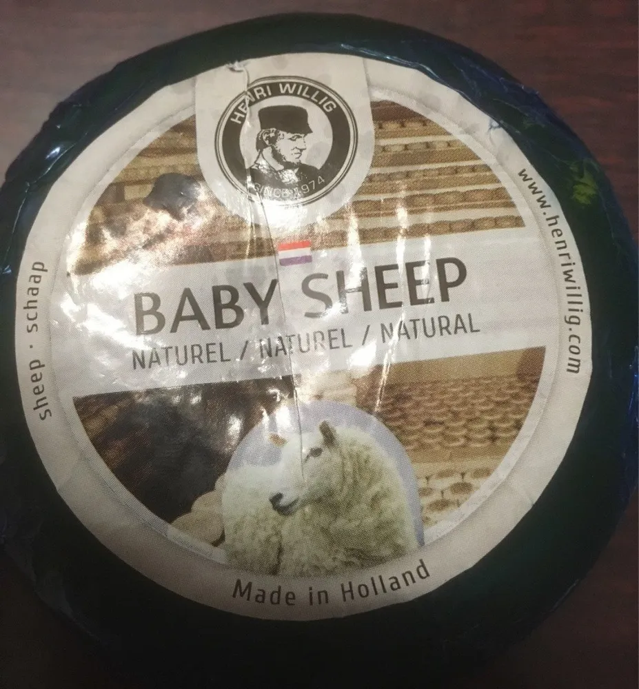 Baby sheep