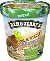 Non-Dairy Ice Cream Coconutterly Caramel'd