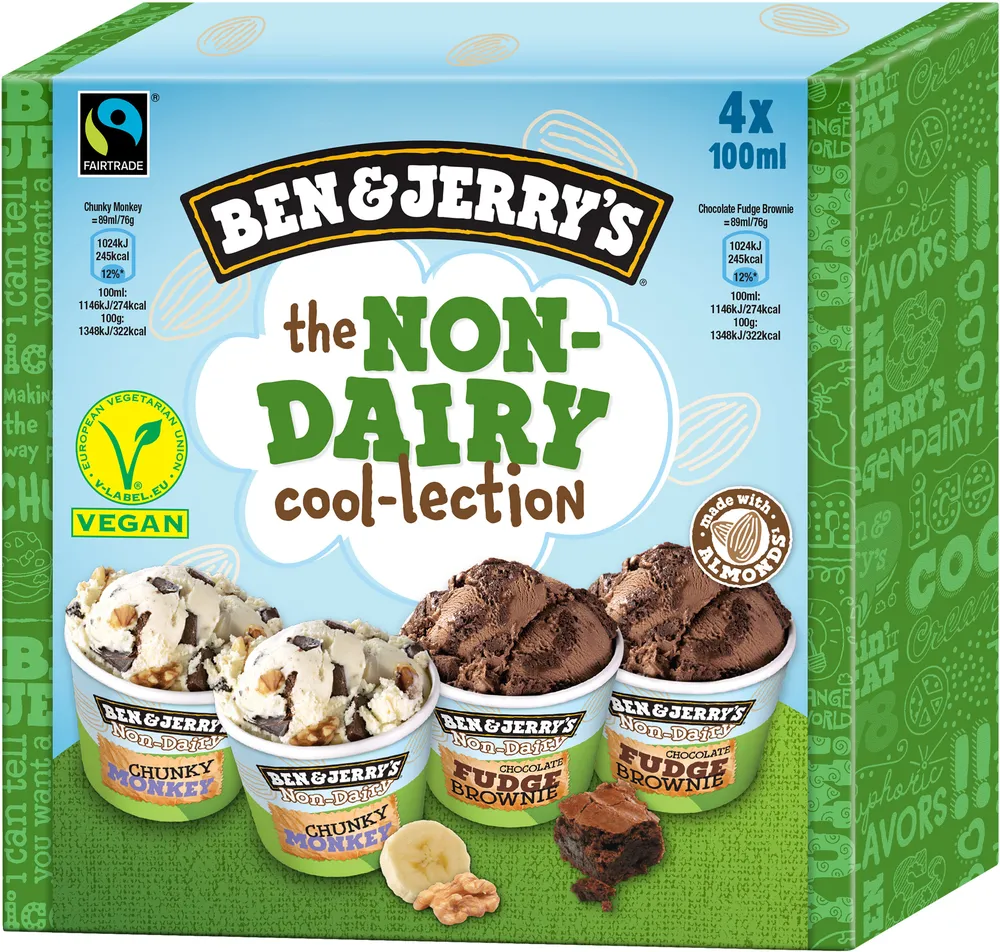 Ben & Jerry's Glace Vegan Pot Chocolate Fudge Brownie x3
