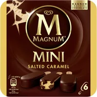 Magnum Glace Bâtonnet Mini Caramel Salé x6 330ml