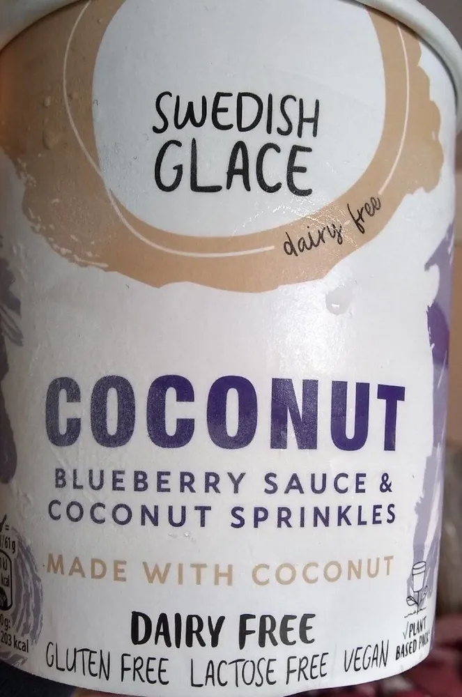 Coconut with Blueberry sauce Dairy Free Ice Cream