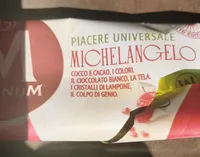 Magnum Michelangelo