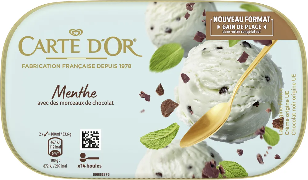 Menthe avec des morceaux de chocolat