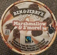 Ben & Jerry's Glace en Pot Sundae Marshmallow & S'more 427ml
