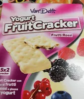 Yogurt fruit cracker