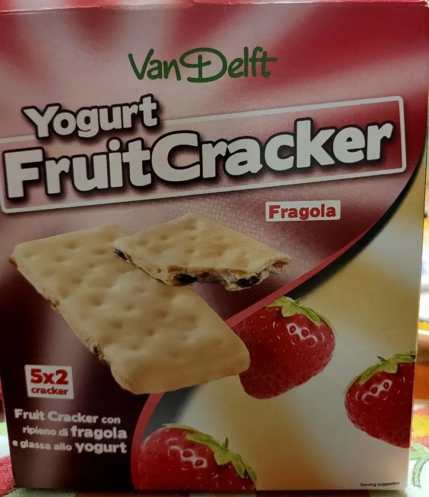 Yogurt fruit cracker