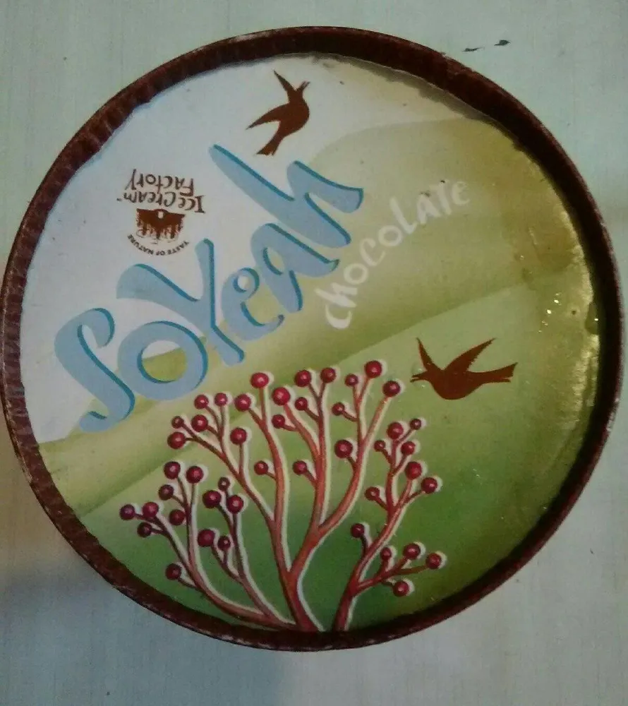 Soyeah Choco Icecream