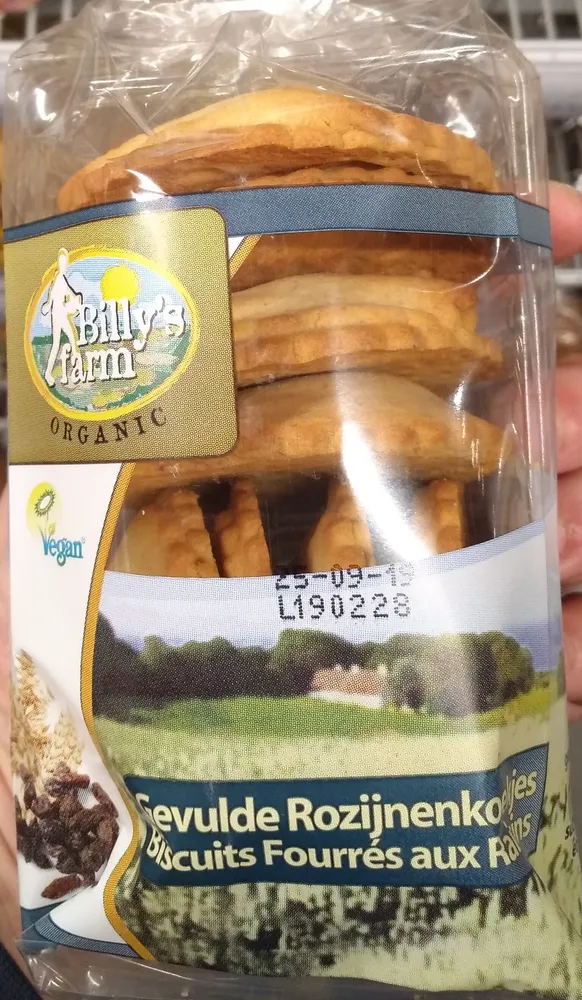 Gevulde rozijnenkoekjes