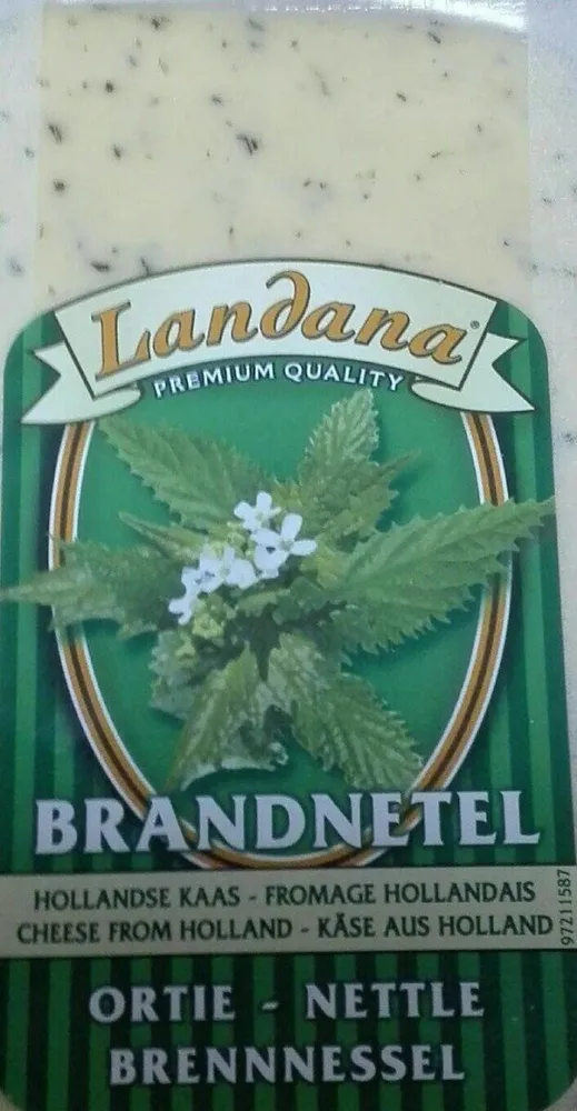Brandnetel