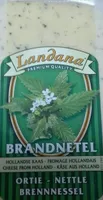 Brandnetel