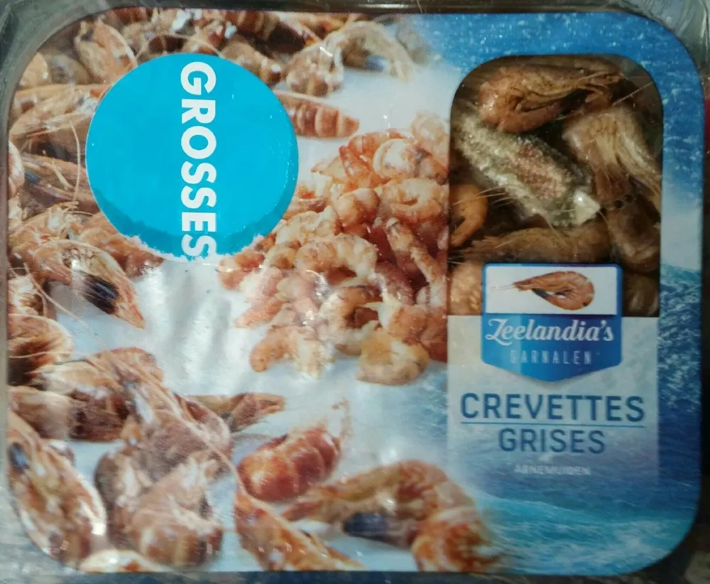 Grosses Crevettes grises