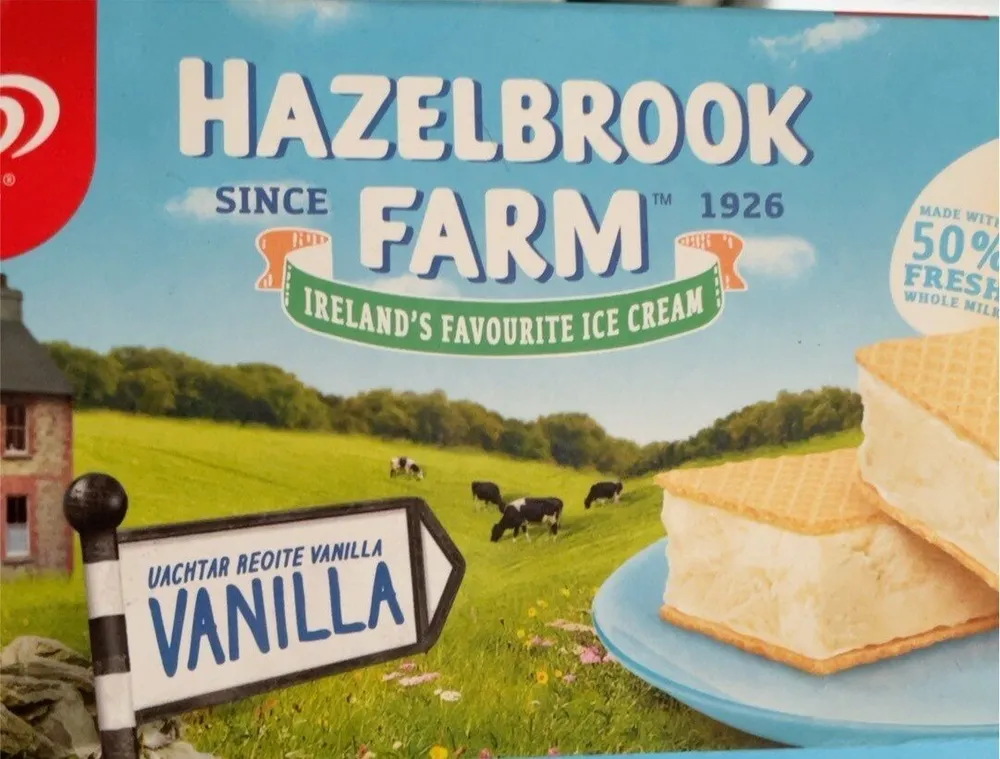 Vanilla Flavour Ice Cream