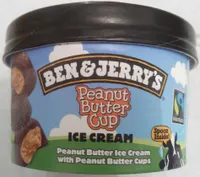 Ben & Jerry's Glace Mini Pot Topped Salted Caramel Brownie