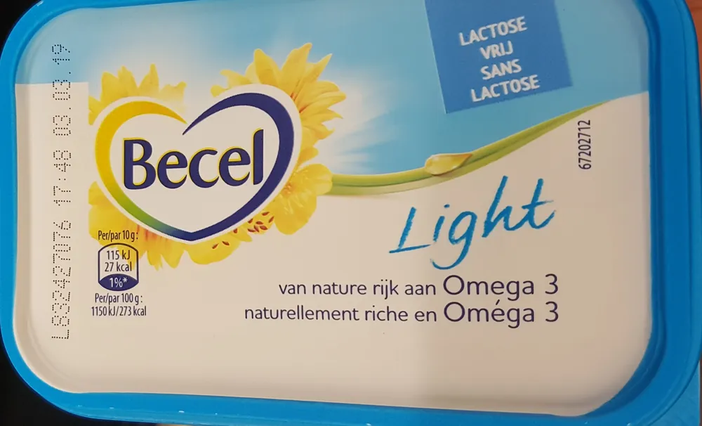 Light
