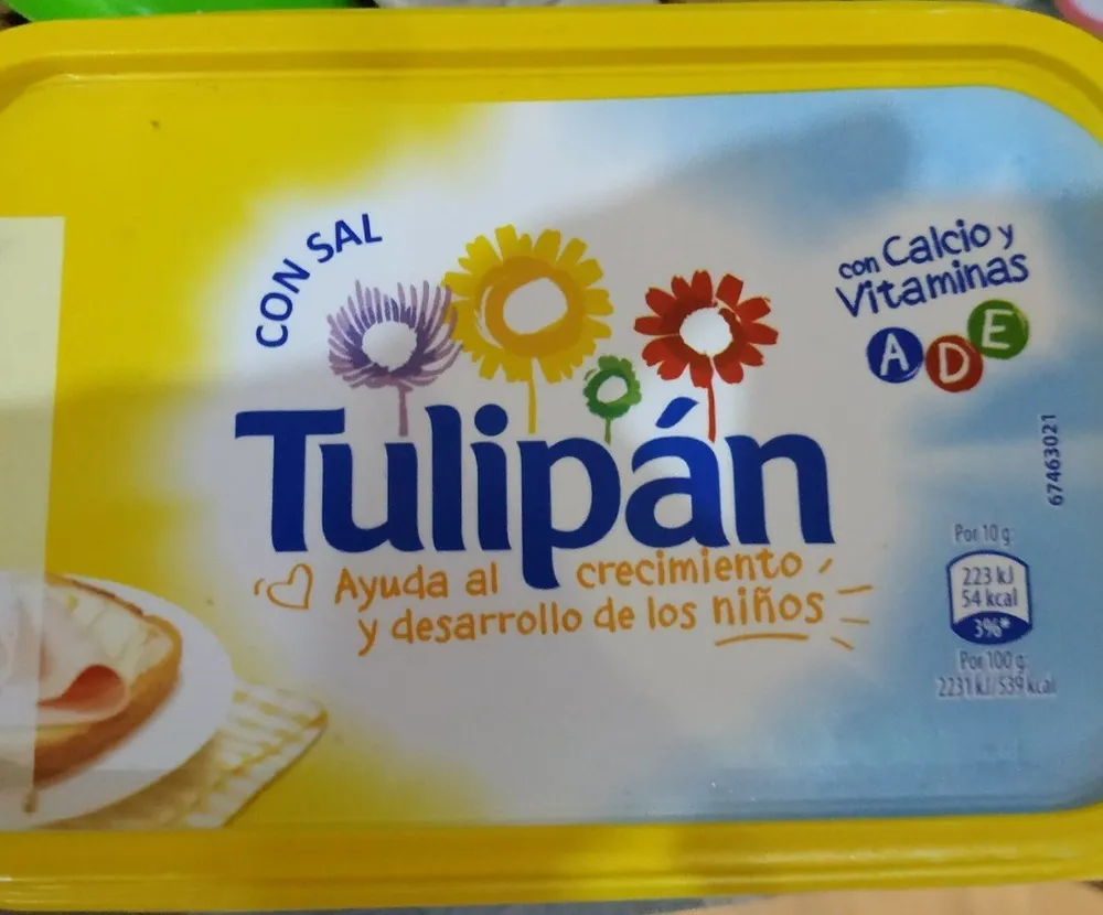 Tulipán