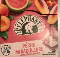 Pêche miraculeuse