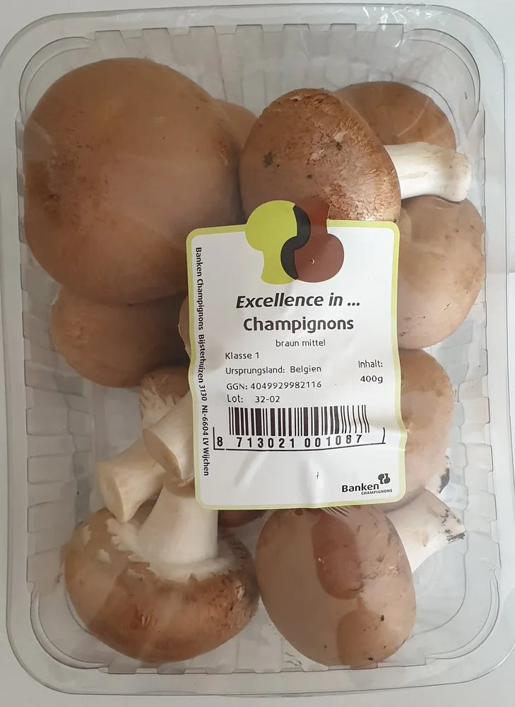 Champignons, braun mittel