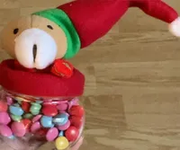 North pole friends