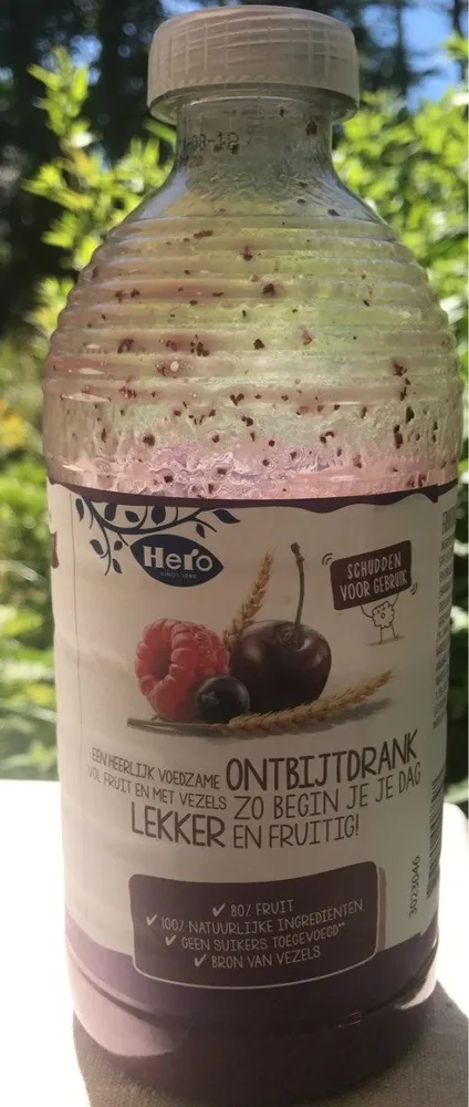 Fruit ontbijt