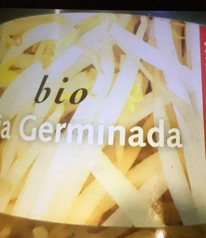 Soja germinada