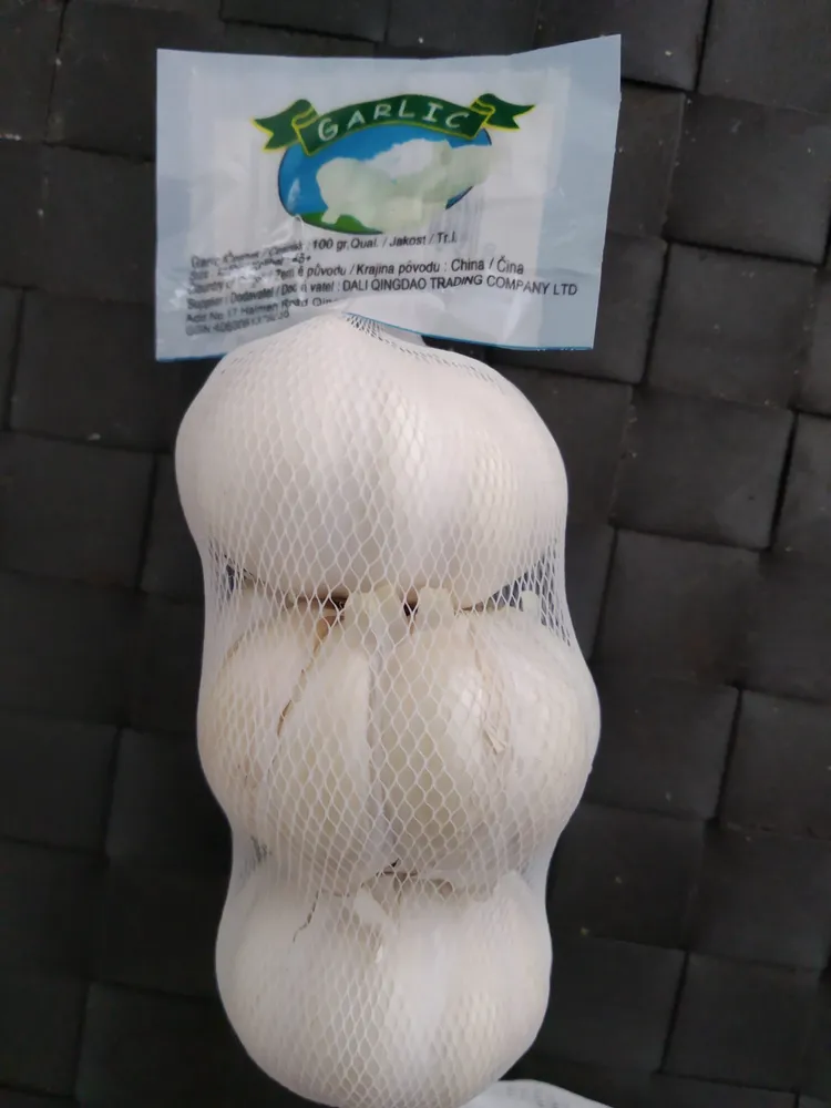 Garlic