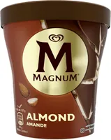 Magnum Crème Glacée en Pot Amande 440ml