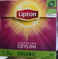 Inspiring cylon