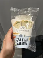 Sea That Salmon