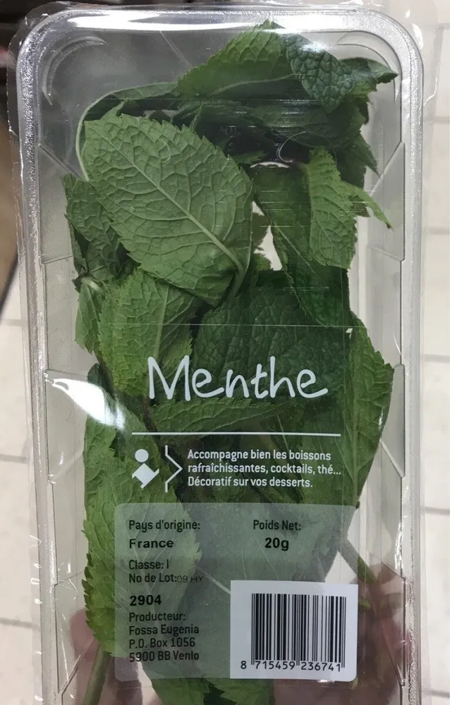 Menthe Fraiche