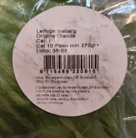 Lattuga iceberg