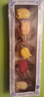 Tulipes au chocolat (Hollande )