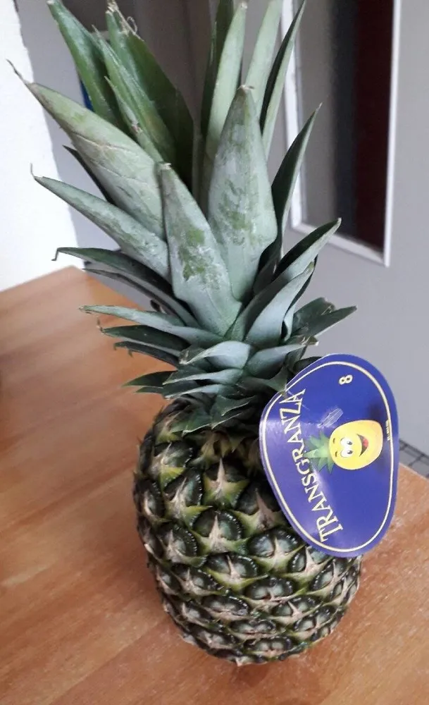 Ananas costa rica