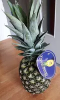Ananas costa rica
