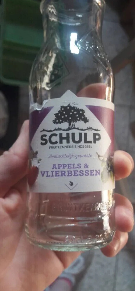 Schulp