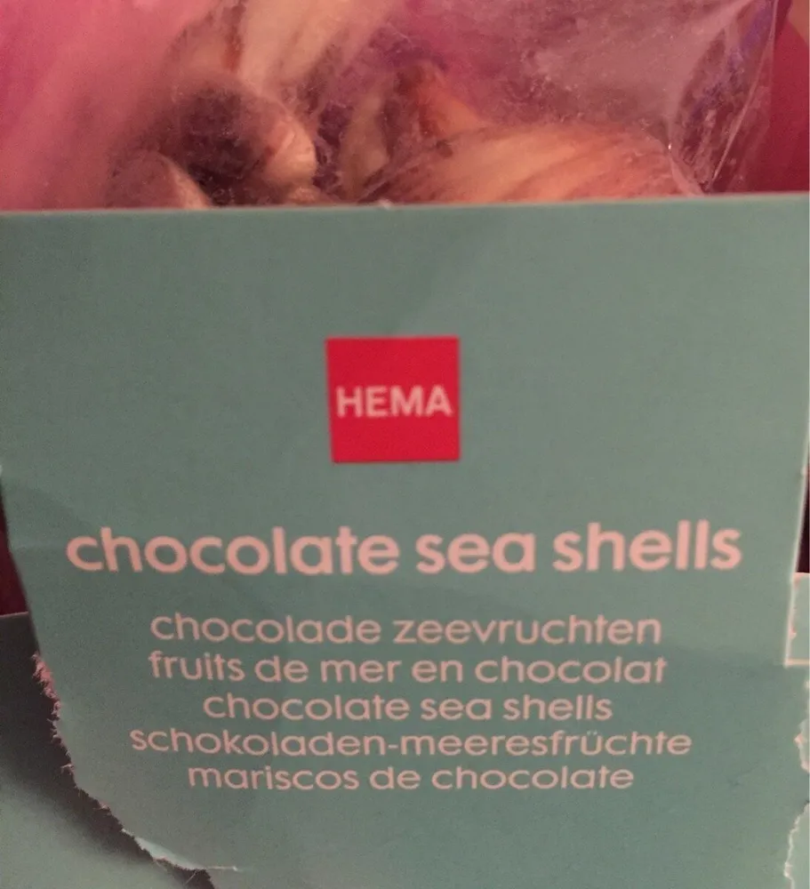 Chocolate sea shells