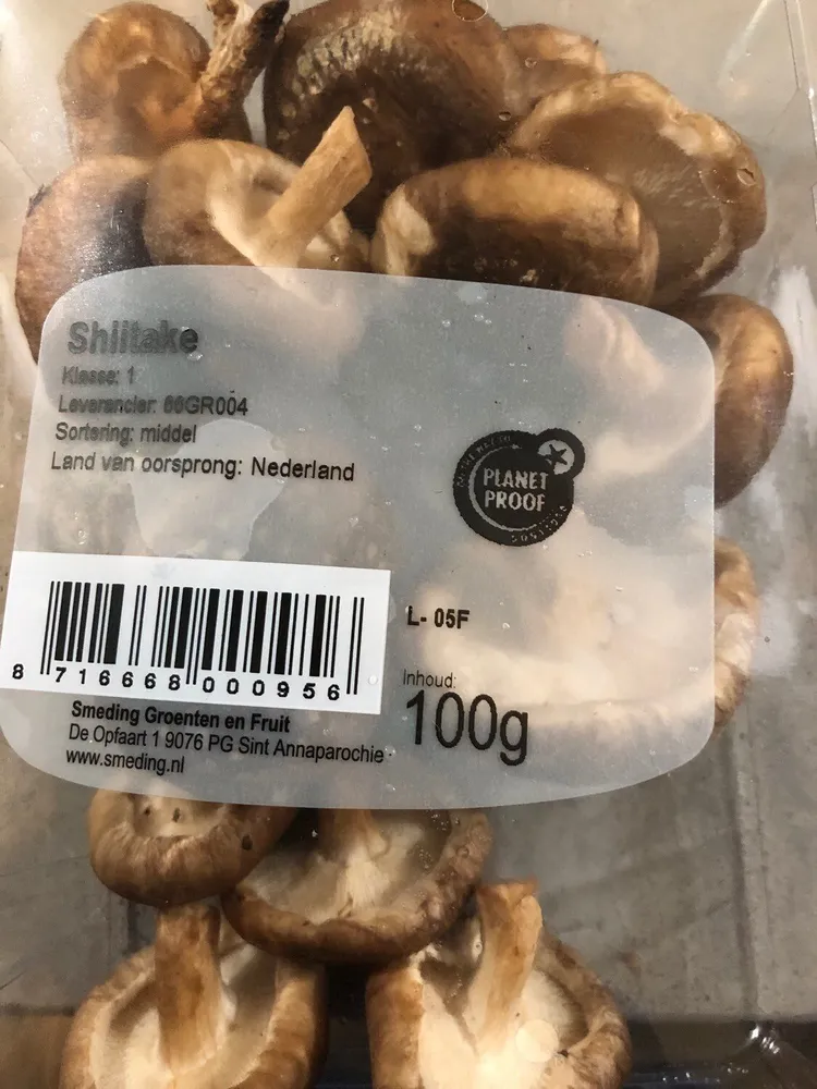 Shiitake