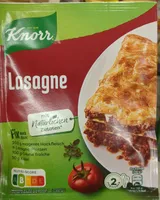 Fix Lasagne