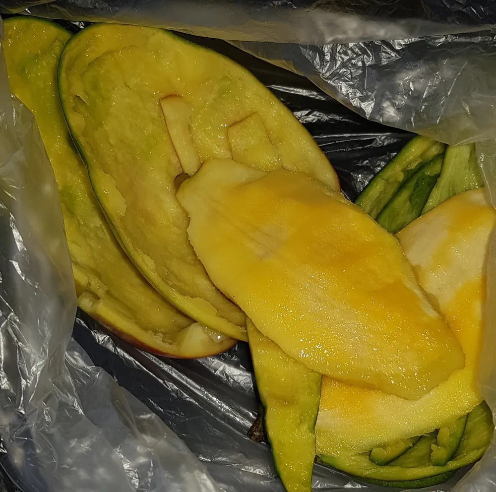 mangue