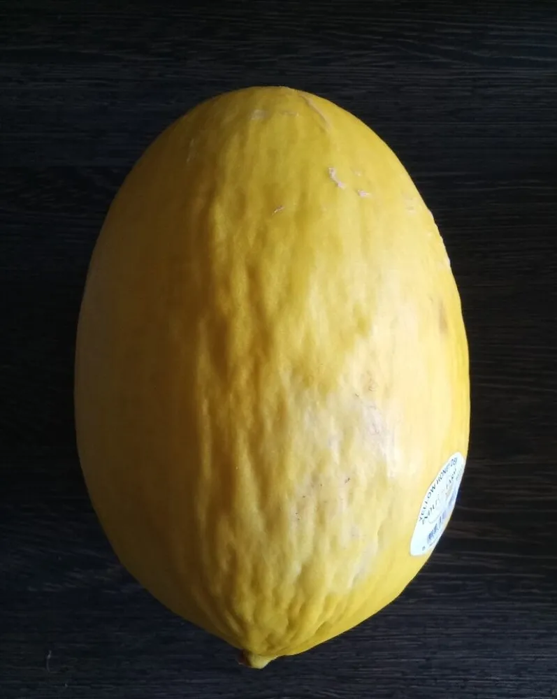 Honigmelone
