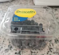 Arándanos
