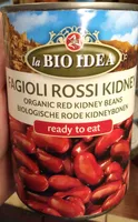 Fagilio Rossi Kidney