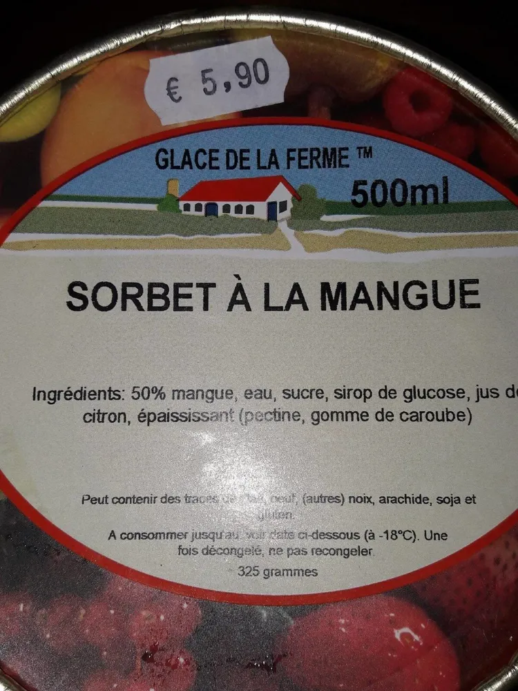 Sorbet mangue