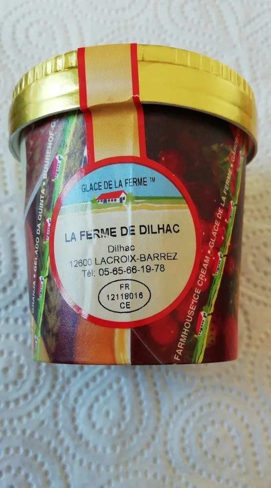 SORBET AU CITRON BIOLOGIQUE