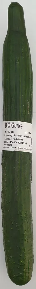 BIO Gurke