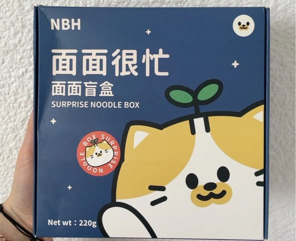 Surprise noodle box