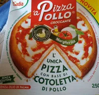 pizza pollo