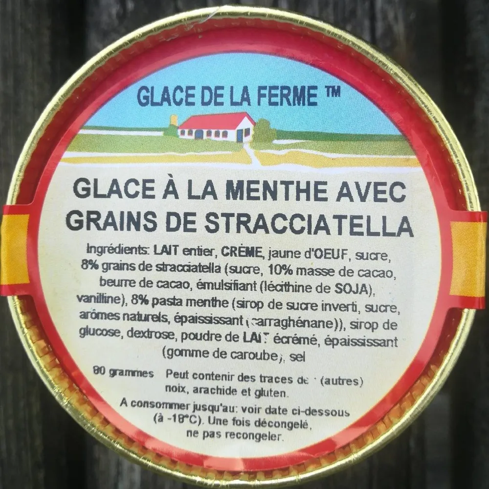 Glace à la menthe avec grains de stacciatella